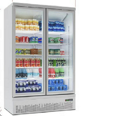 704L Tủ đông cửa kính thẳng đứng 2 cửa Làm mát bằng không khí cho kem và thực phẩm đông lạnh