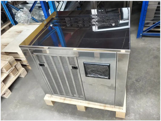 Fish Market Flake Ice Maker Lưu trữ lớn Vô trùng Tiết kiệm năng lượng im lặng
