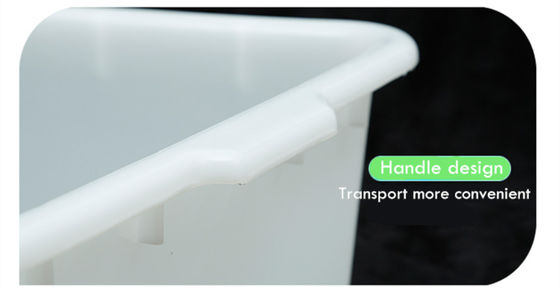 Tủ lạnh Thiết bị tạp hóa Cung cấp rõ ràng hộp nhựa loại thực phẩm nhỏ cho nhà bếp