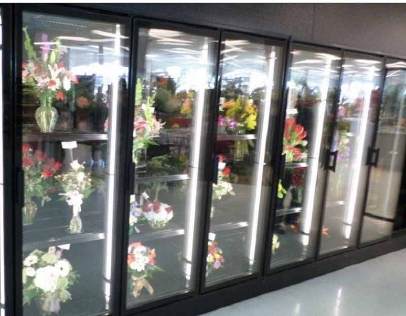 Màn hình hoa đi bộ trong Máy làm mát đi bộ trong cửa kính làm mát bằng thép màu